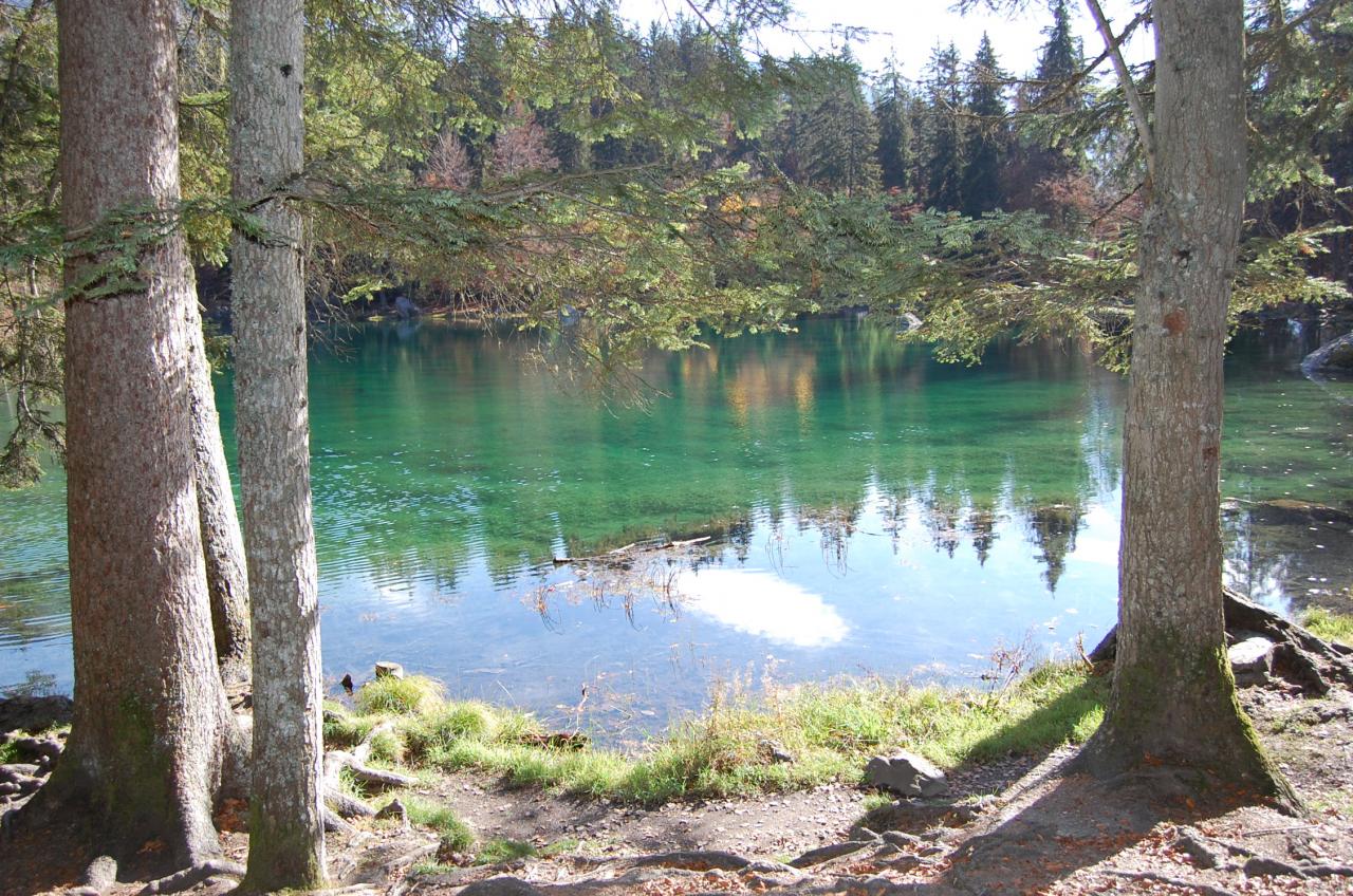 Le lac vert - Passy
