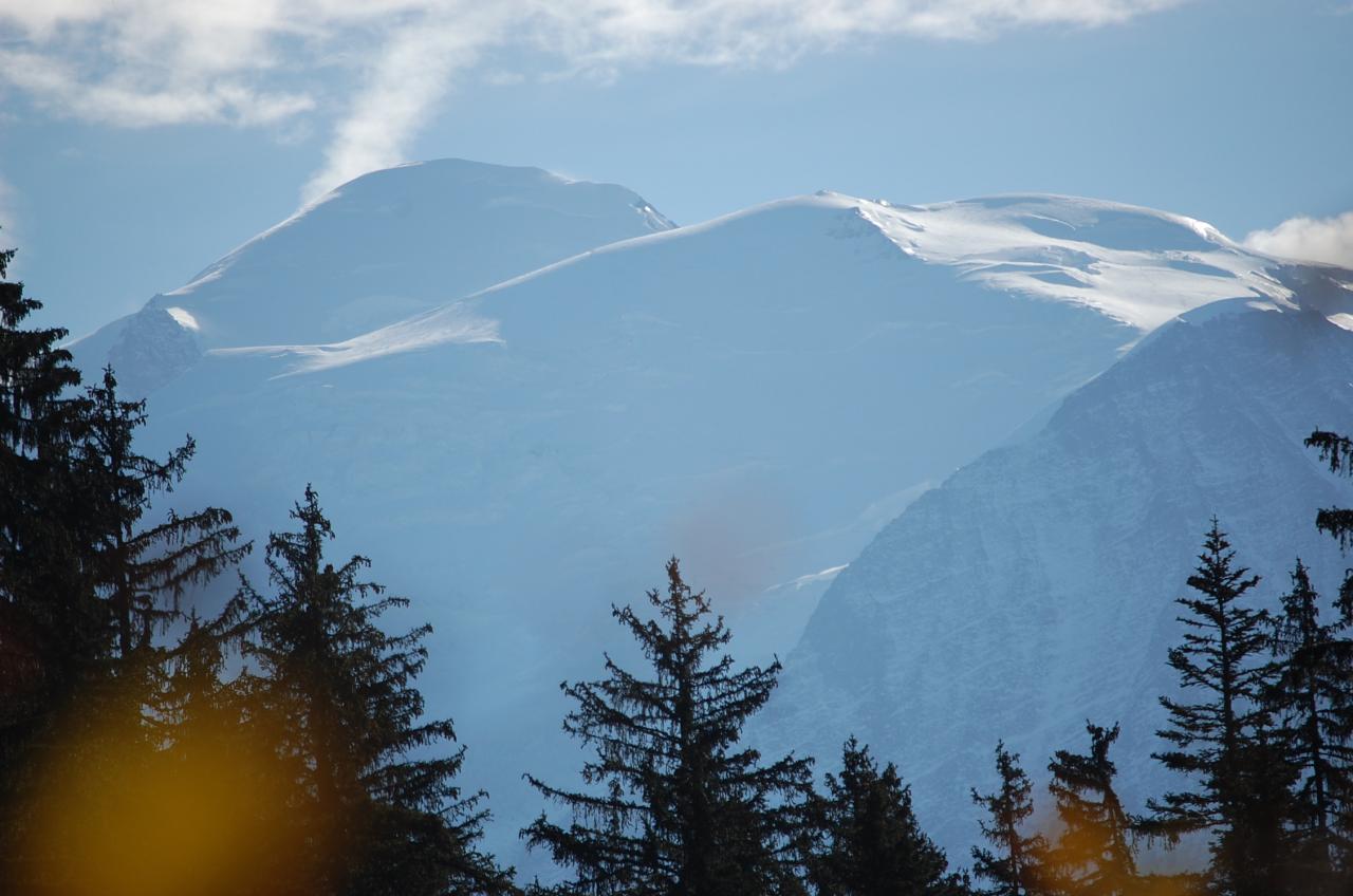 Le Mont Blanc