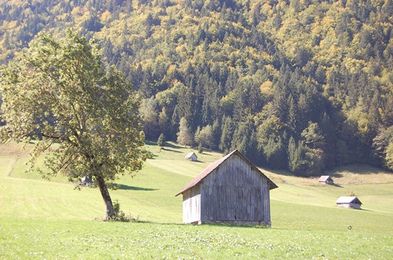 Les Grangettes - Ecole en Bauges