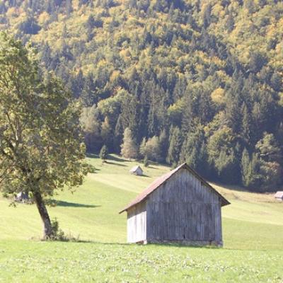 LE PARC DES BAUGES